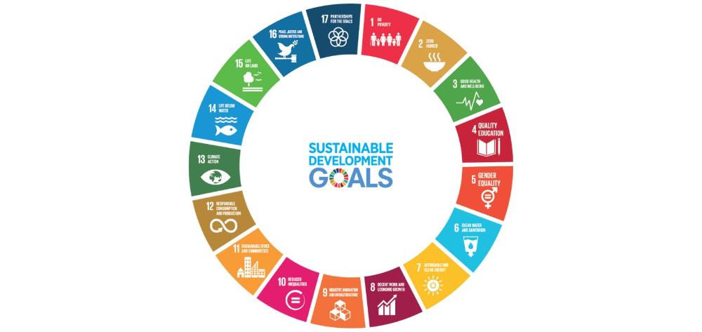Sustainable Development Goals
