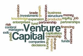 Venture Capital Services