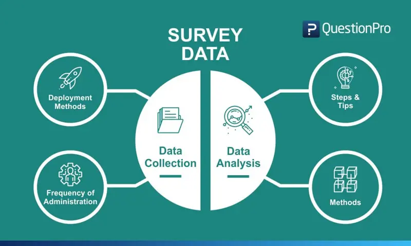 Surveys, Research and Analysis